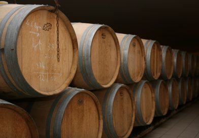 Grandes destinations : Pays des vins de Bordeaux