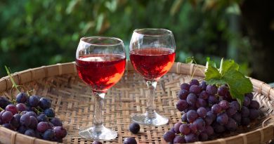 Les vins biologiques gagnent en popularité