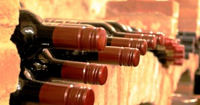 Les essentiels à connaître sur les vins du Val de Loire
