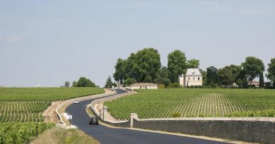 Des vignobles à découvrir à Bordeaux