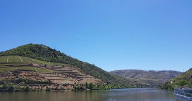 Les vignobles de Douro