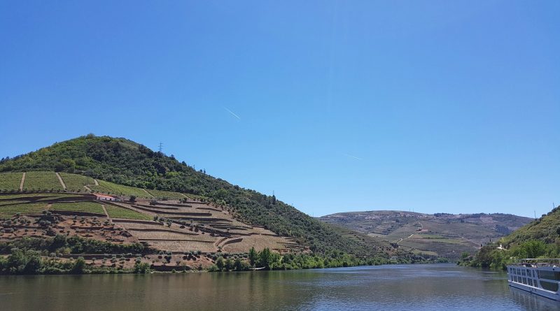 Les vignobles de Douro