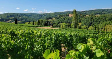 Les vignobles français