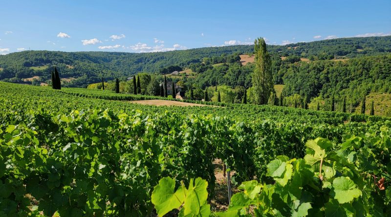 Les vignobles français